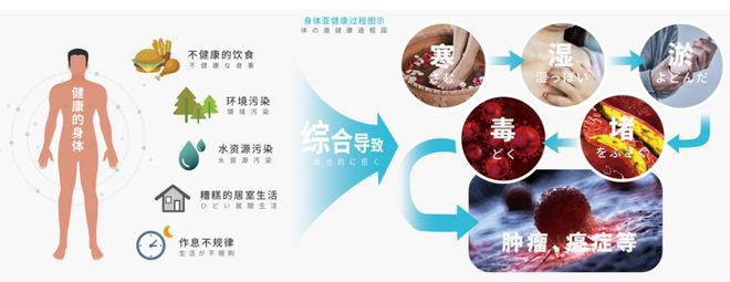 聚焦五大系统,打造人体的“4s店”,助力人们摆脱亚健康