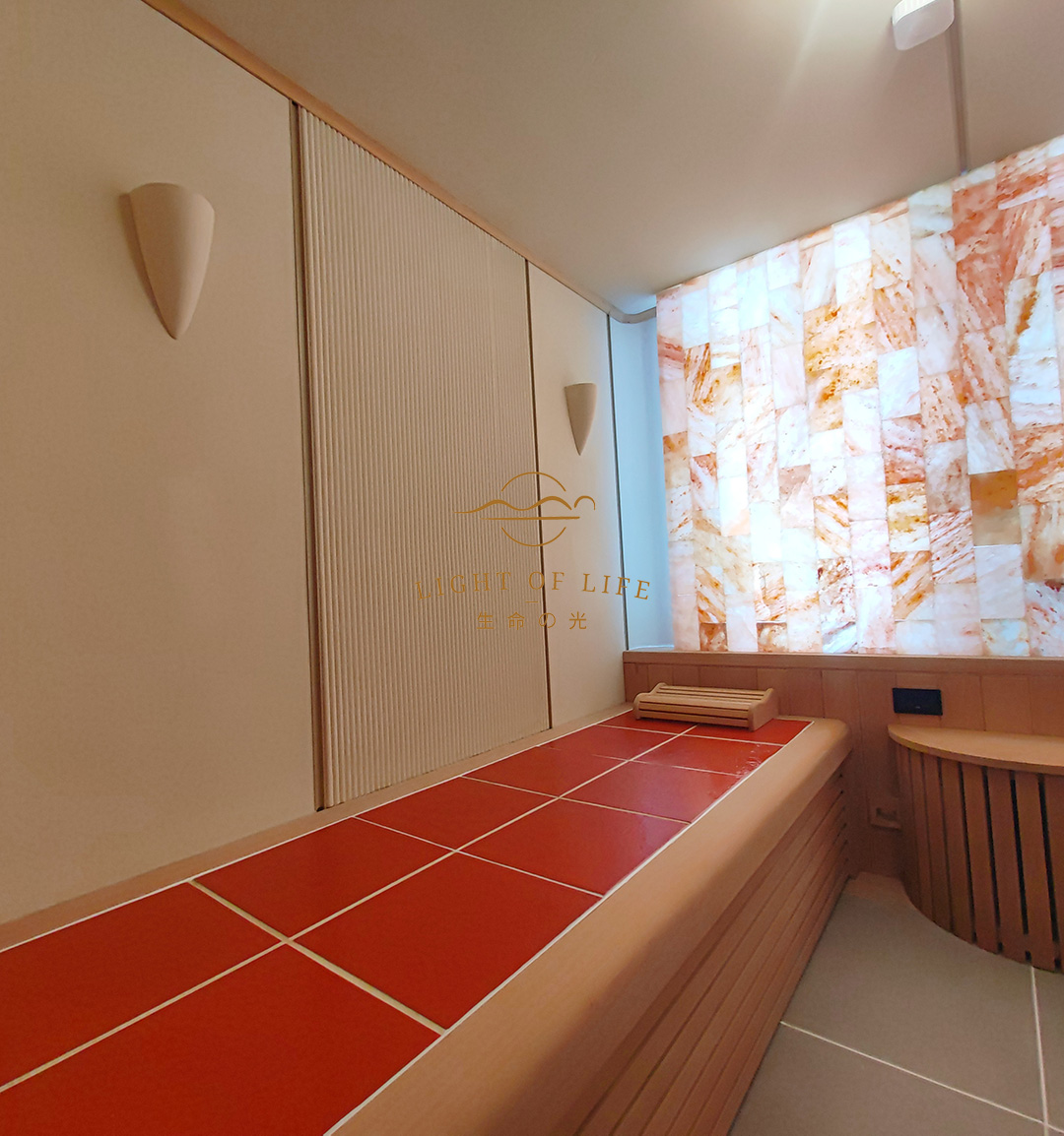 红菊国际大厦·生命之光移动双人舱效果图