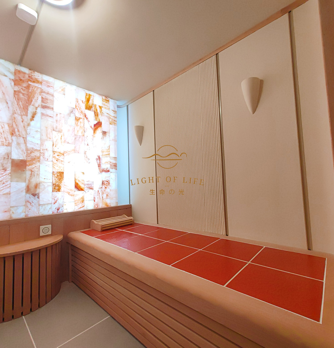 红菊国际大厦·生命之光移动双人舱效果图