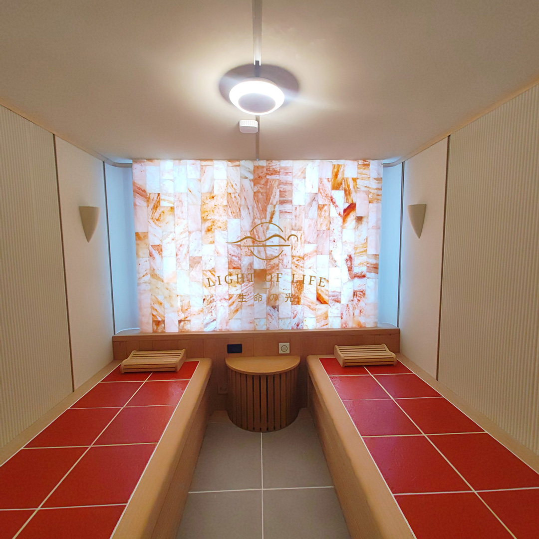 红菊国际大厦·生命之光移动双人舱效果图