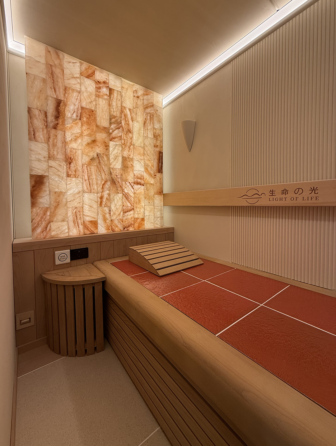 杭州峰仔食品销售有限公司·生命之光·移动养舱完工效果图